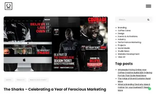 Preview of the The Sharks Brand Case Study