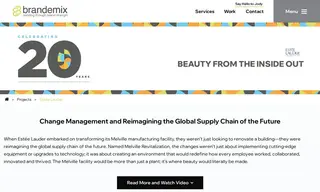 Preview of the Estée Lauder Companies Case Study