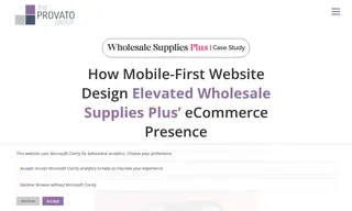 Preview of the Wholesale Supplies Plus Case Study
