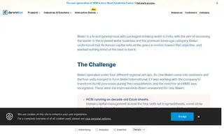 Preview of the Bisleri International Case Study