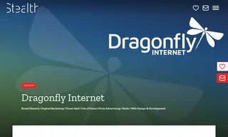 Preview of the Dragonfly Internet Case Study