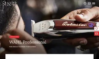 Preview of the Wahl Professional Case Study