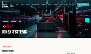 Preview of the Ionex Systems Case Study