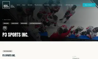 Preview of the P3 Sports Inc Case Study