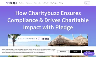 Preview of the Charitybuzz Case Study