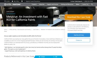 Preview of the California Paints Case Study