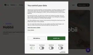 Preview of the Hobbii Case Study