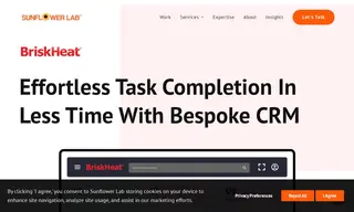 Preview of the Briskheat Case Study