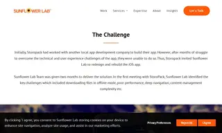 Preview of the Storopack Case Study