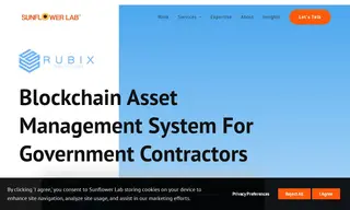 Preview of the Rubix Solutions Case Study