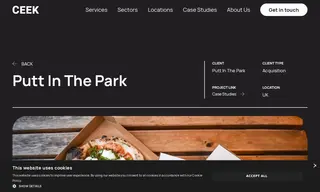 Preview of the Putt in the Park Case Study