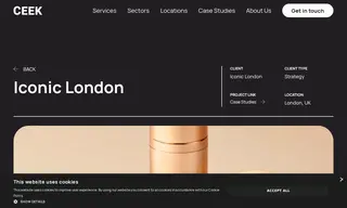 Preview of the ICONIC London Case Study