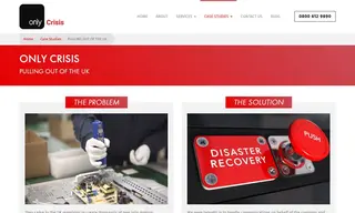 Preview of the Electronics Giant Case Study