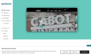 Preview of the The Cabot Case Study