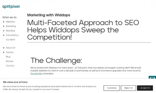Preview of the Widdops Case Study