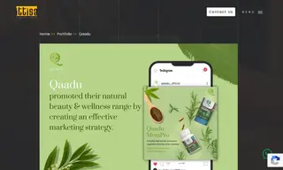 Preview of the Qaadu Case Study