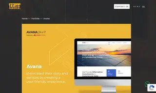 Preview of the Avana Fund Case Study