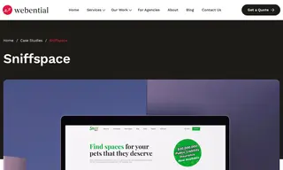 Preview of the Sniffspace Case Study