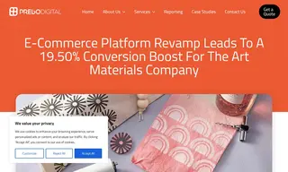 Preview of the The Art Materials Company Case Study