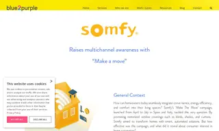 Preview of the Somfy Case Study