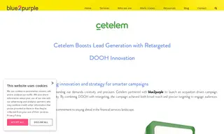 Preview of the Cetelem Case Study