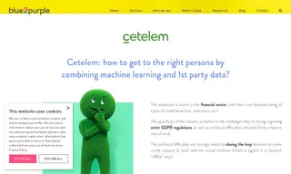 Preview of the Cetelem Case Study