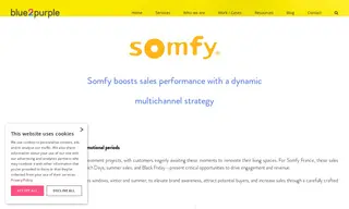 Preview of the Somfy France Case Study