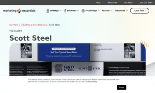 Preview of the Scott Steel Case Study