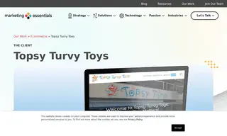 Preview of the Topsy Turvy Toys Case Study