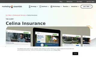 Preview of the Celina Insurance Group Case Study