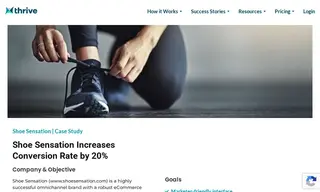 Preview of the Shoe Sensation Case Study