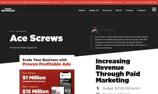 Preview of the Ace Screws Case Study