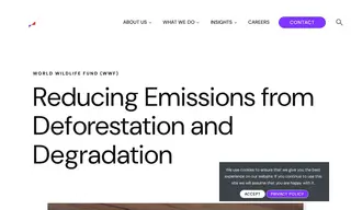 Preview of the World Wildlife Fund Case Study