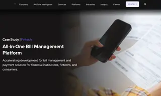 Preview of the Digital Payment Solutions Provider Case Study