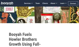 Preview of the Howler Brothers Case Study