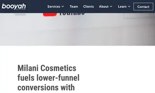 Preview of the Milani Cosmetics Case Study