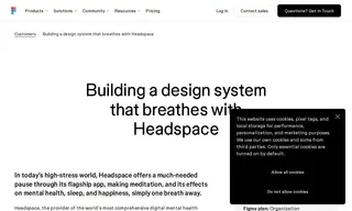Preview of the Headspace Case Study
