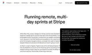 Preview of the Stripe Case Study