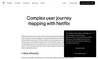 Preview of the Netflix Case Study
