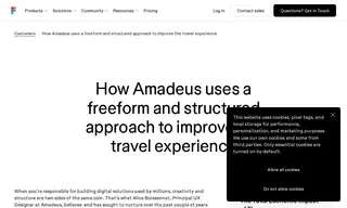 Preview of the Amadeus Case Study