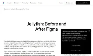 Preview of the Jellyfish Case Study