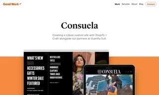 Preview of the Consuela Style Case Study