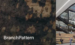Preview of the BranchPattern Case Study