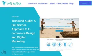 Preview of the Trüsound Audio Case Study