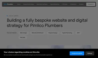 Preview of the Pimlico Plumbers Case Study
