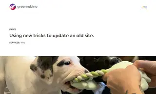 Preview of the Paws Case Study