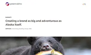 Preview of the Kawanti Case Study