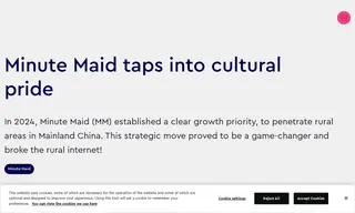 Preview of the Minute Maid Case Study