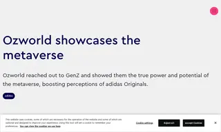 Preview of the Adidas Case Study