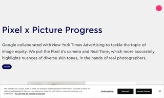 Preview of the Google Case Study
